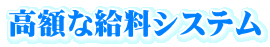 高額な給料システム
